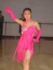 Photo Album and Picture Gallery 1025 1021 Image